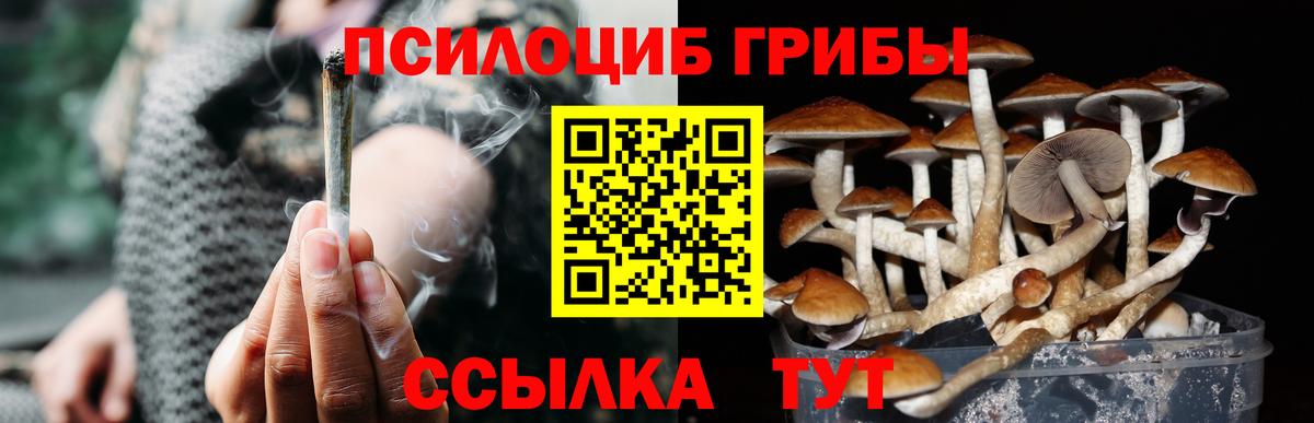 Псилоцибиновые грибы Magic Shrooms  Вход с VPN  Лесной 